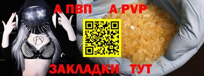 стаф Кунгур