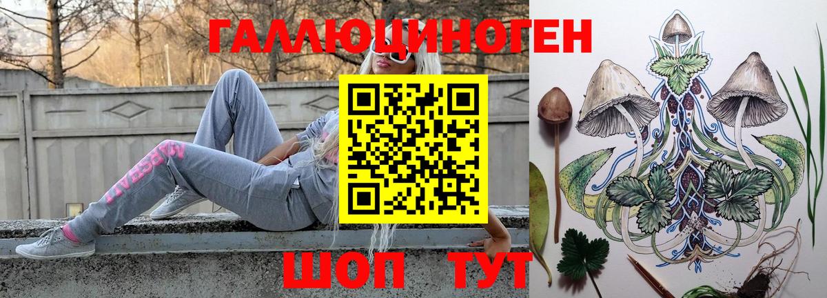 Галлюциногенные грибы Psilocybine cubensis Златоуст